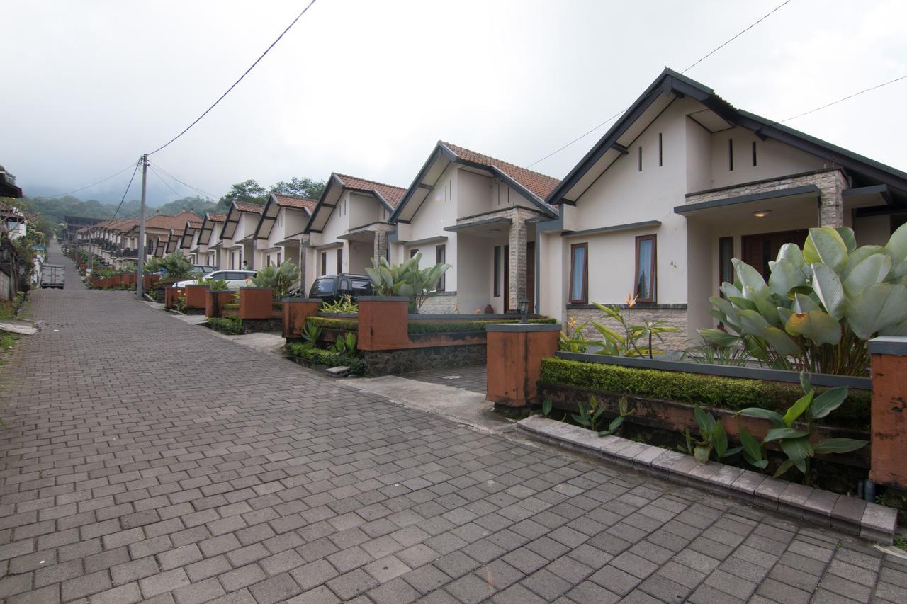 Zen Rooms Cemara Bedugul Bedugul  Bagian luar foto